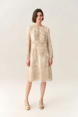 Double Key-hole Lurex Embroidery Mesh Dress