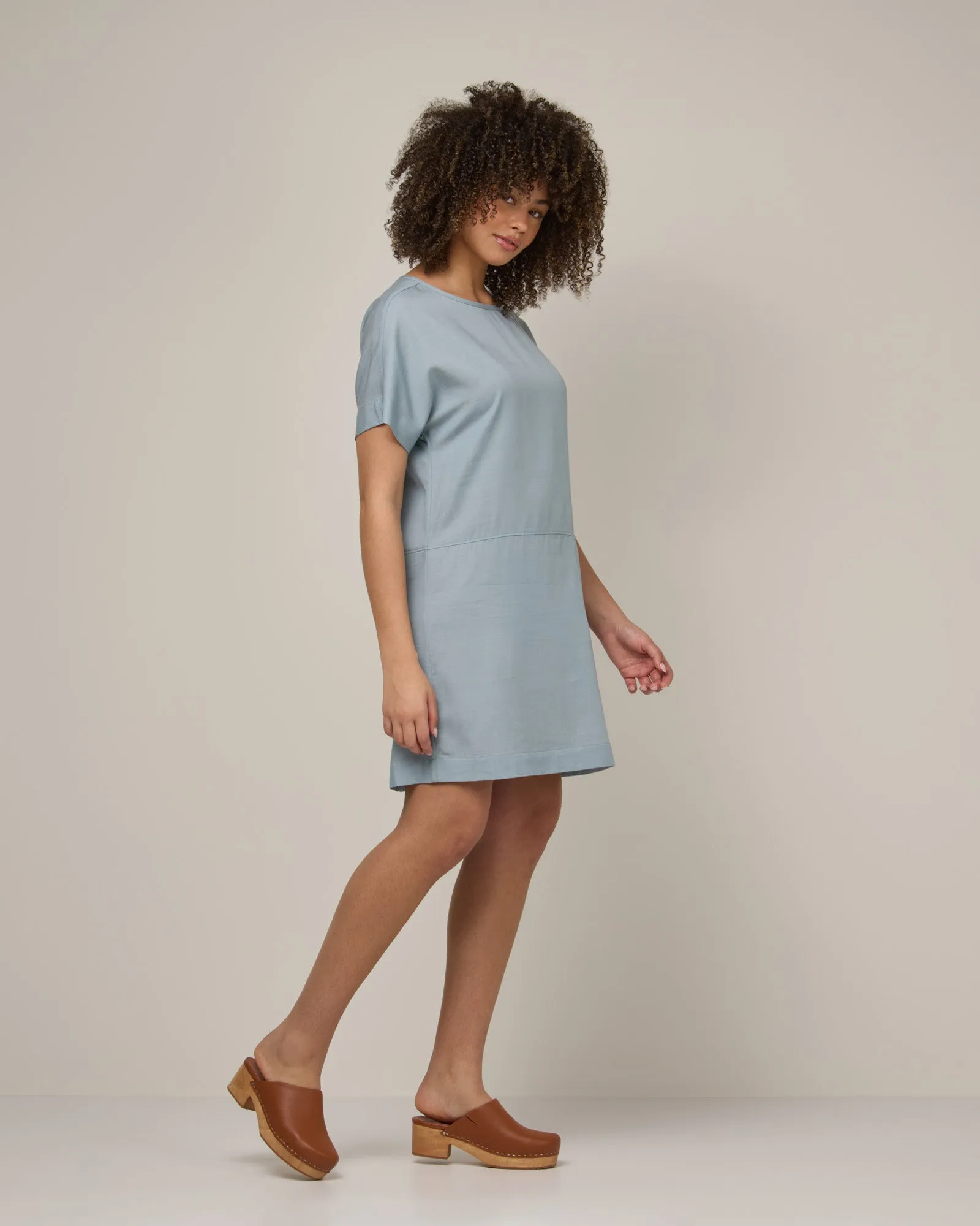 Whitney Chambray Dress